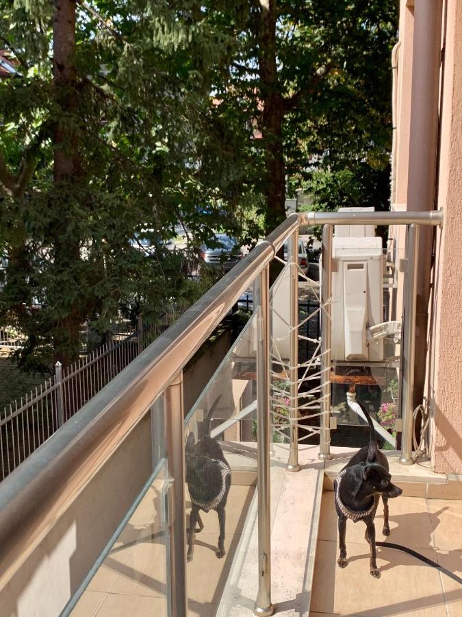 Lovely Sofia Apartment Katerina With Free Parking Ngoại thất bức ảnh