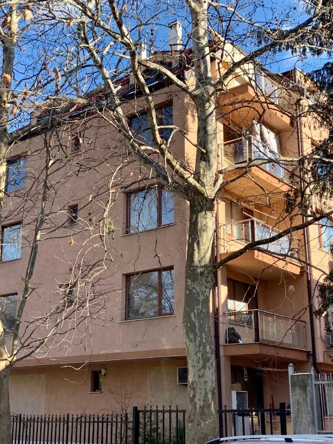 Lovely Sofia Apartment Katerina With Free Parking Ngoại thất bức ảnh